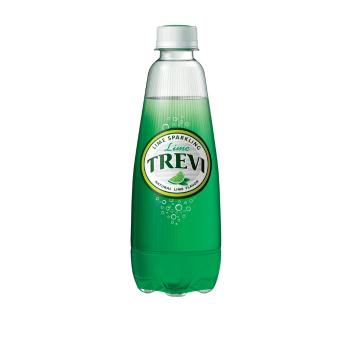 트레비 라임(300ml*20개/롯데칠성) 트레비 라임(300ml*20개/롯데칠성)