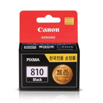 PG-810(캐논/안료/검정)